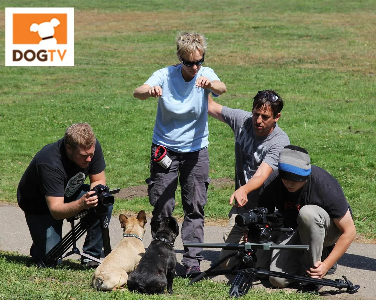 Pet Training for Film and Television
